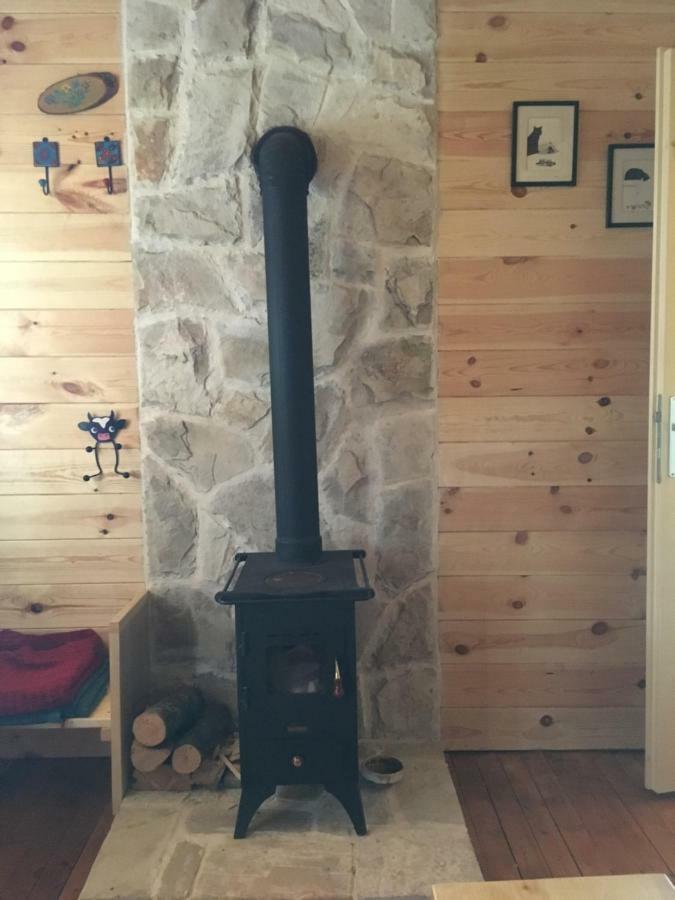 Cozy Cabin Žabljak Eksteriør billede