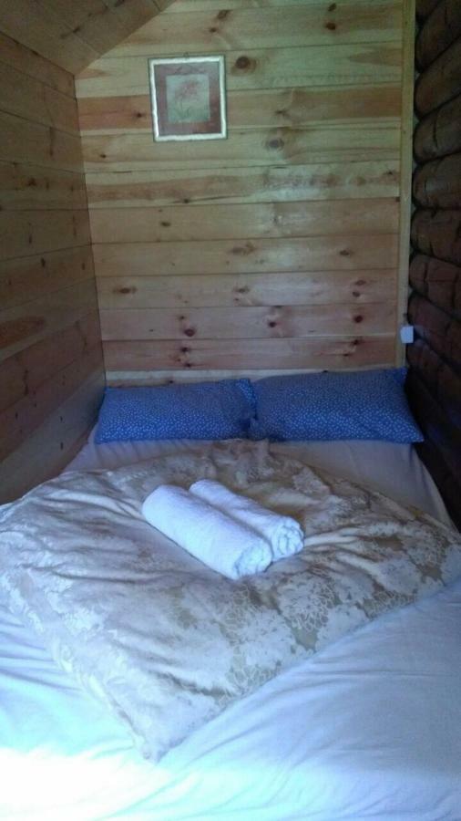 Cozy Cabin Žabljak Eksteriør billede