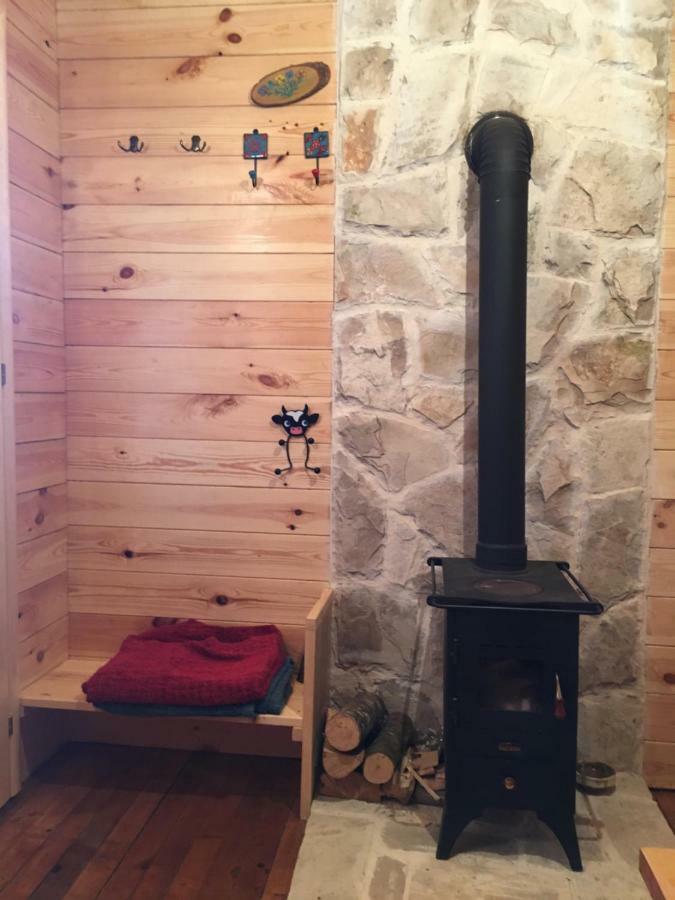 Cozy Cabin Žabljak Eksteriør billede